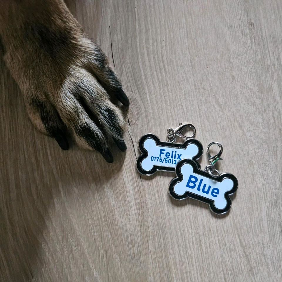 Hochwertiger Hundeanhänger in 3 Farben